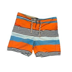 Patagonia Men’s Board Shorts 36 Common Threads Stripes